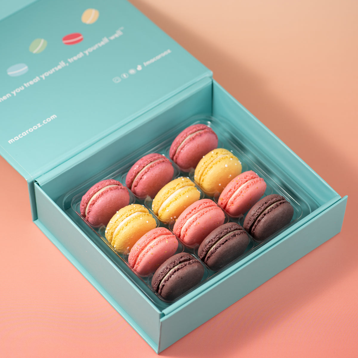 Fruit Macaron Collection