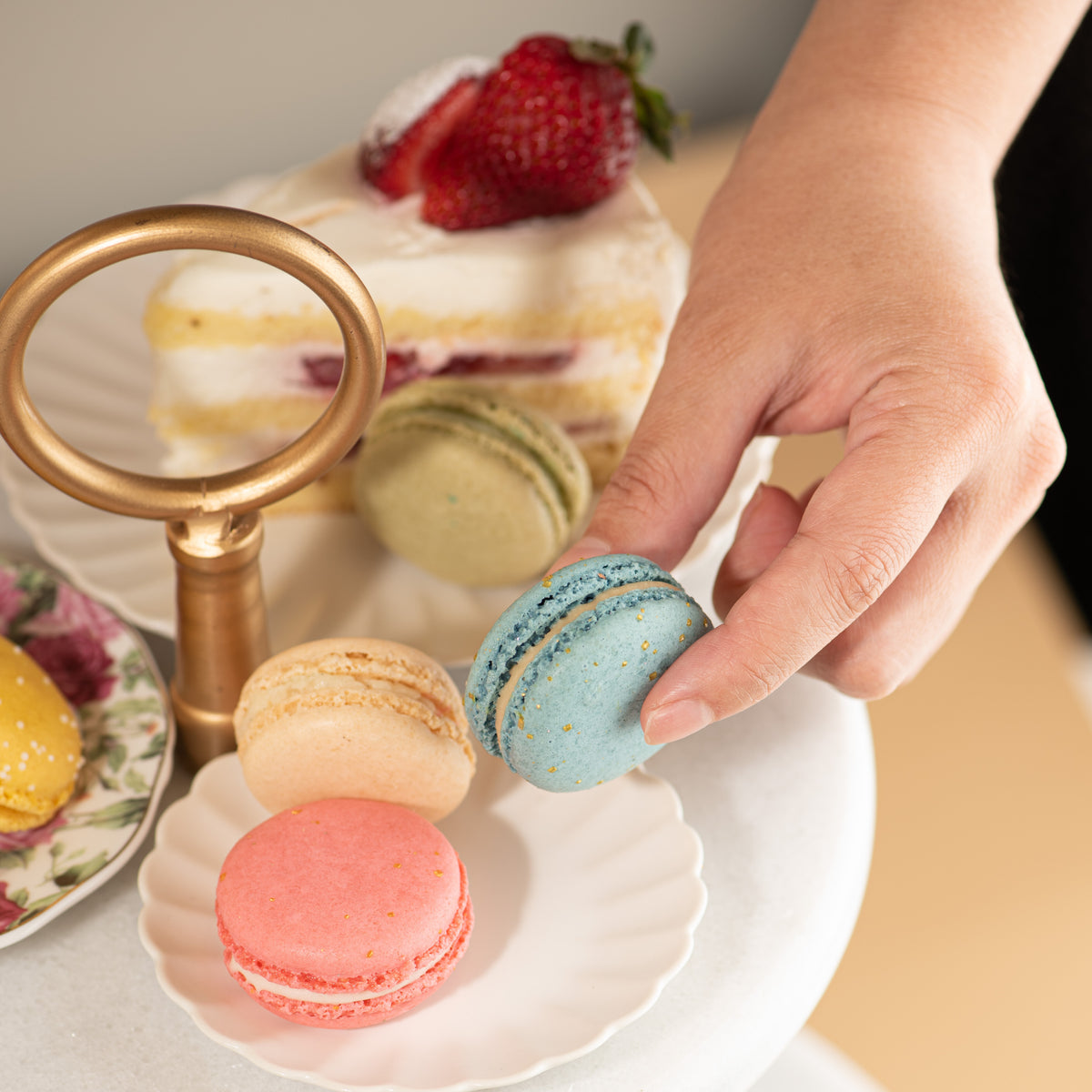 Classic Macaron Collection